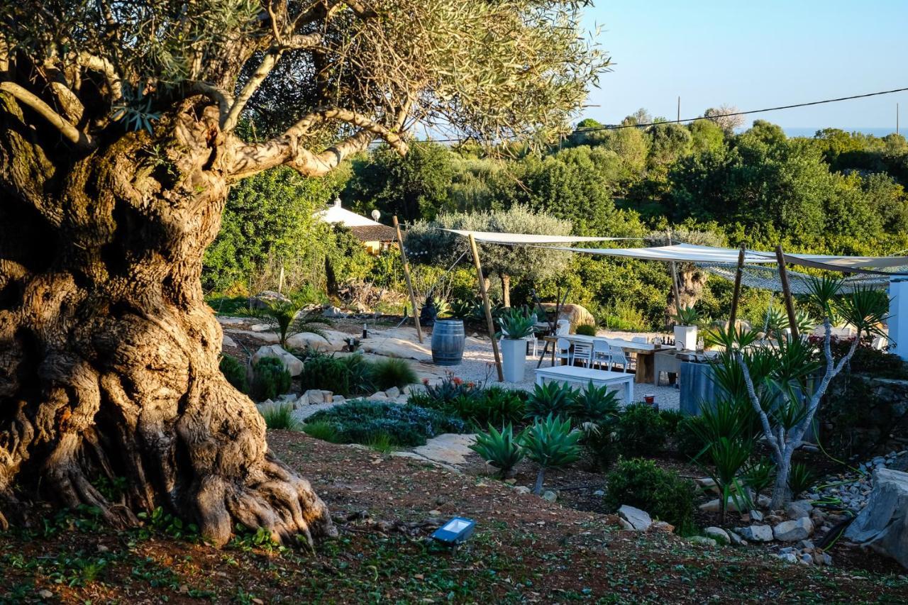 Casa Verdazul Tavira Exteriér fotografie